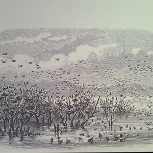 St. Peter & The Rainbow