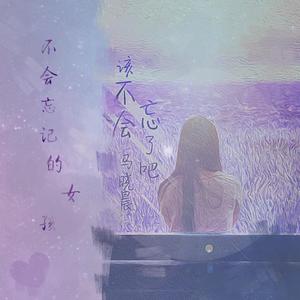 该不会忘了吧（翻自 马晓晨）