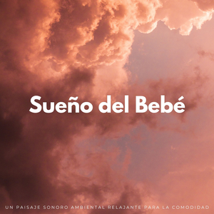 Cuna De Comodidad En La Canción De Pájaros
