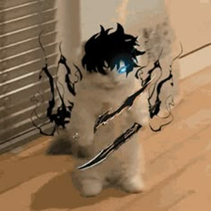 Window of My Eyes (slowed)