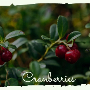 Cranberries