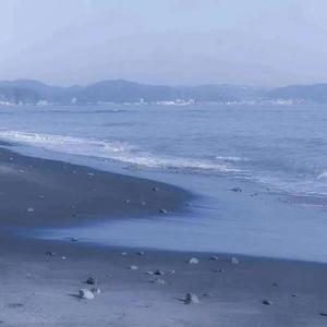 大海很好看可是船终要靠岸