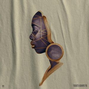 Tribe's Groove VII