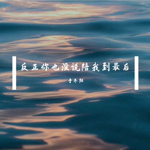 反正你也没说陪我到最后
