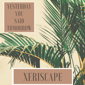 Xeriscape