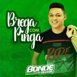 Brega Com Pinga