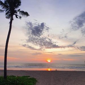 多情的人总被无情的伤