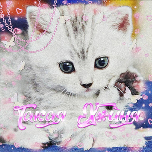 моя туша (feat. опизденевший)