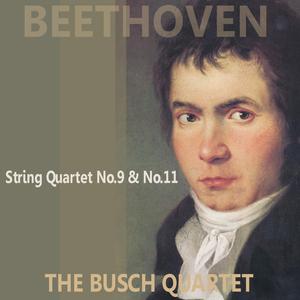 Quartet No. 9 in C Major, Op. 59, No. 3 "Rasoumovsky": II. Andante con Moto Quasi Allegretto