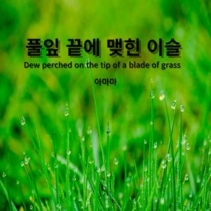 풀잎 끝에 맺힌 이슬
