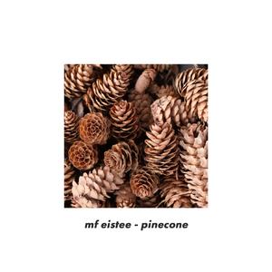 pinecone