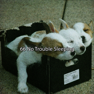 自然睡眠