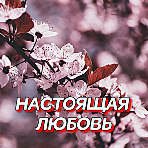 НАС МЕТЕЛЬ УКРОЕТ