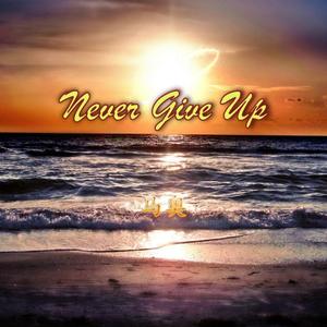 Never Give Up