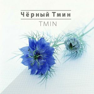 Чёрный тмин