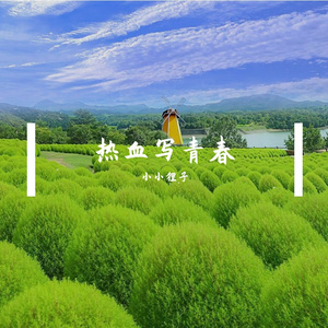 热血写青春