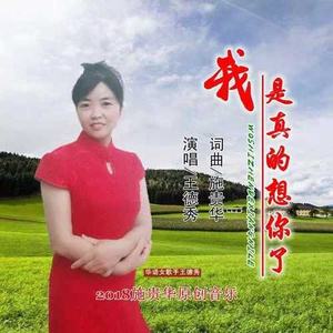 我是真的想你了