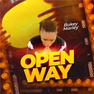 Open Way