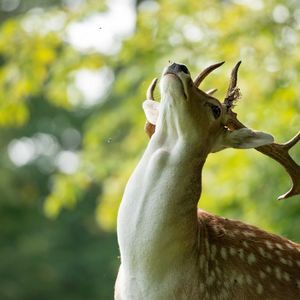 “流眼泪的小孩”