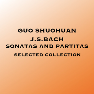 Sonata For Violin Solo No.1 In G Minor, BWV 1001:1. Adagio