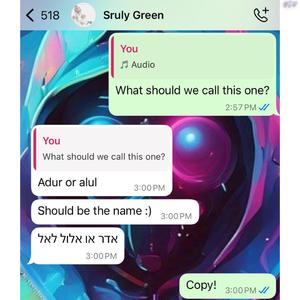 Adar & Elul (feat. Sruly Green)