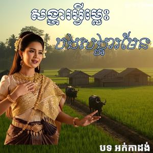 បេះដូងមិនត្រូវគ្នា ច្រៀងដោយ រ័ត្នរចនា