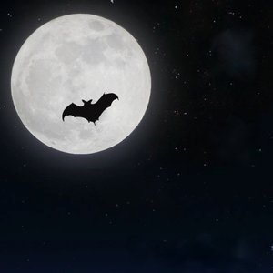 如果天国有电台（翻自 艺无天）