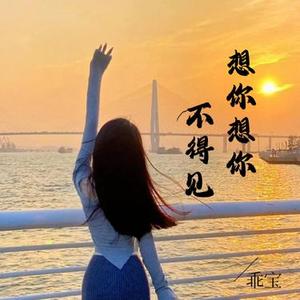 想你想你不得见