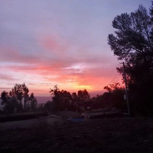 香烟到头终是灰