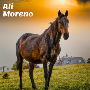 Una Alabanza a Mi Dios