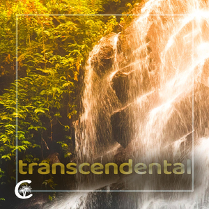 Transcendental