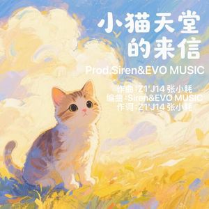 小猫天堂的来信