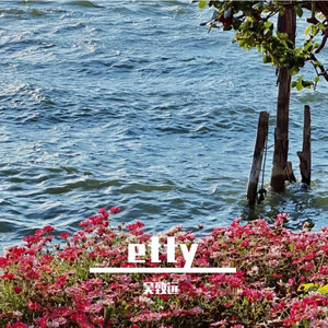 雨声织梦