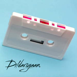 Dildariyaan