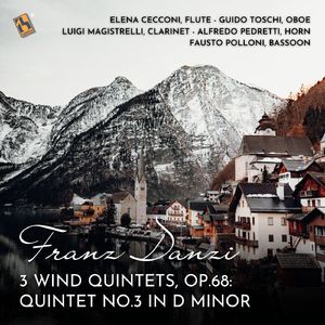 3 Wind Quintets, Op. 68:Quintet No.3 in D Minor, Minuetto allegretto