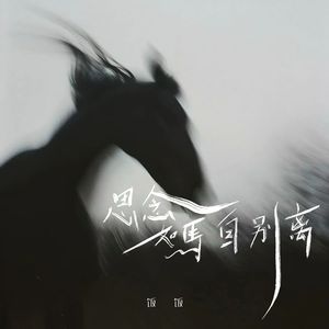 思念如马未停蹄