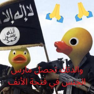 alhamdulillah