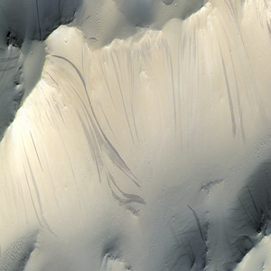 React (Original Mix)