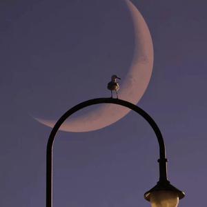 做个现实点的梦