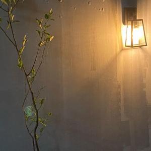 you look so good with the wind blowing in your hair (feat. kyxuuko)