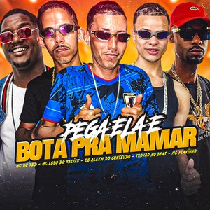 Pega Ela e Bota pra Mamar