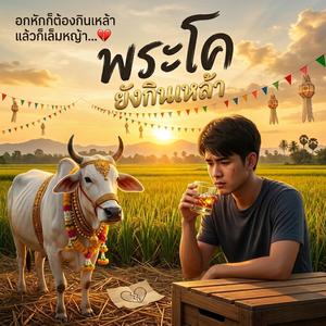 พระโคยังกินเหล้า