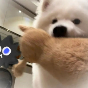 致00后的预防针