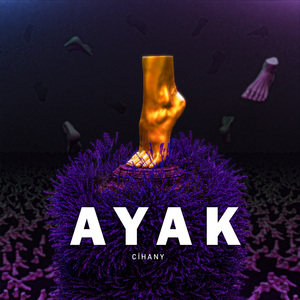 Ayak