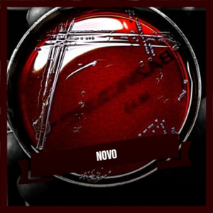 Straight Back to You