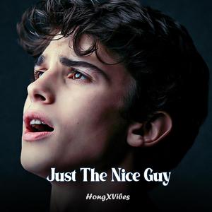 Just The Nice Guy
