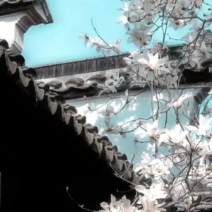 Put A Little Umph In It（1.1x）