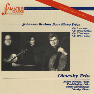 Trio in C Major, Op. 87: II. Andante con moto