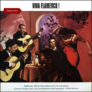 Colombiana Flamenca