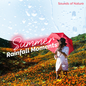 Spattering Woodland Rains